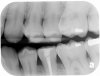 image2.jpg image2.jpg
