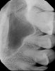 X01431690209_12.JPG