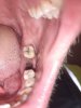20201001_132349.jpg