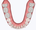 teeth lower aft.png