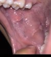 IMG_4160.jpeg