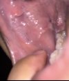 IMG_4159.jpeg
