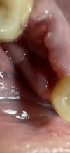 IMG_2260.jpeg