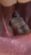 IMG_0205.jpeg