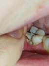 IMG_20241211_222818.jpg