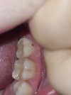 IMG_4282.jpeg