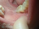 IMG_20250406_003758.jpg