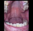 IMG_9295.jpeg